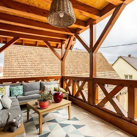 Lovely With Ac And Big Private Terrace Zellwiller