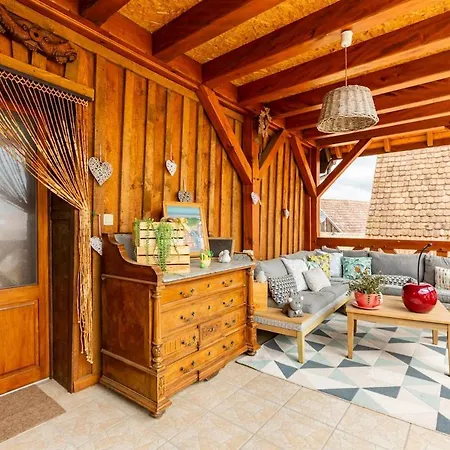 Lovely With Ac And Big Private Terrace Apartment Zellwiller