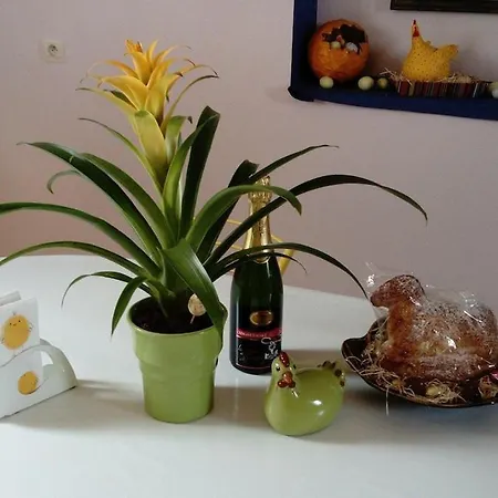 Apartment Lovely With Ac And Big Private Terrace Zellwiller
