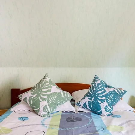 Lovely With Ac And Big Private Terrace Apartment Zellwiller