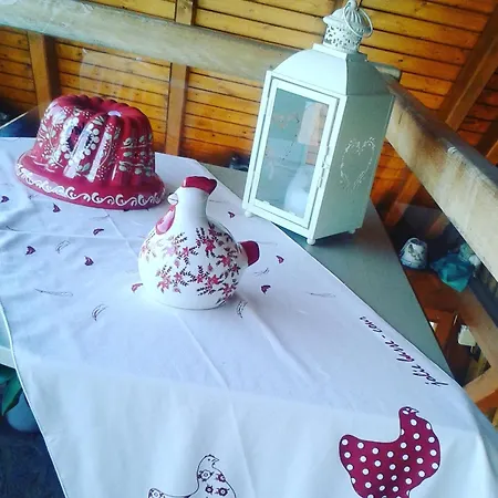 Lovely With Ac And Big Private Terrace * Zellwiller
