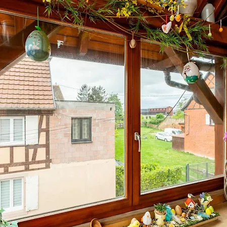 Lovely With Ac And Big Private Terrace Zellwiller